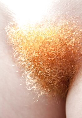 Shameless naked female hottie with a very hairy ginger pussy