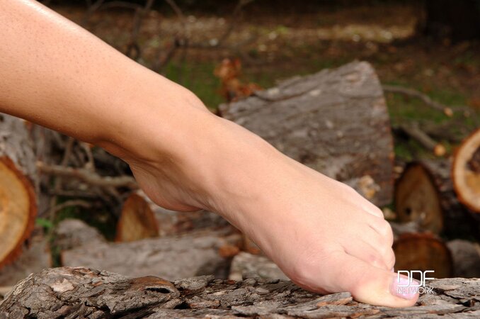 Comely lumberjacks take a break to worship each other's toes and pussy
