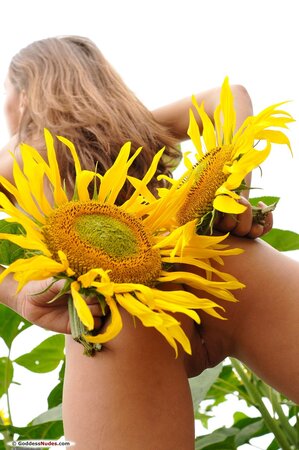 Amateur girl with long legs is posing with the sunflowers