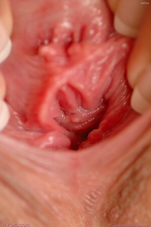 Glamourous starlet shows her gorgeous twat in a close up angle