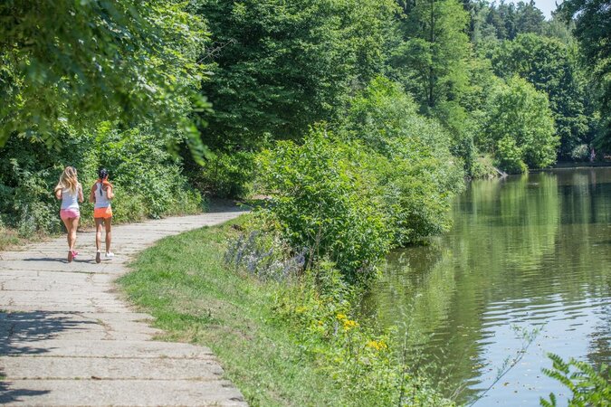 Adele Sunshine is going to seek hot sex with her Czech friend