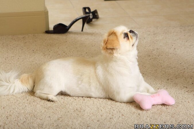 Twisted Tanya James gets licked before getting dicked as well