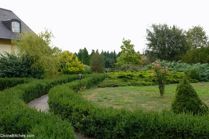 Sandra Romain is going to tease before fucking her loser sub