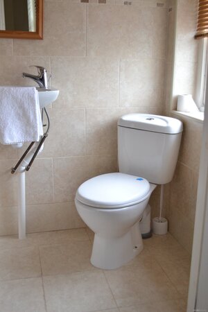 Boleyn the tight teen shows off her body in the restroom