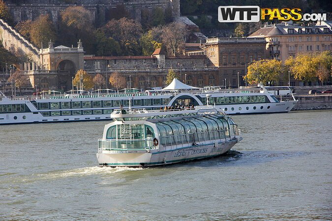 Intensely attuned and ready to get fucked in public like a hoe