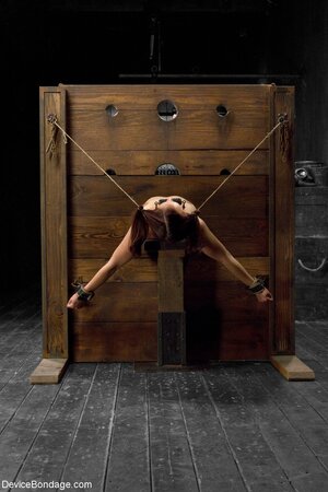 They are consumed by an intense and relentless desire for BDSM