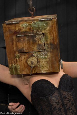 Boxface babe Ash Hollywood will be suffering a lot in this one