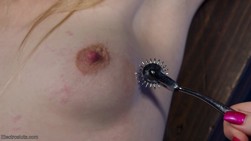 Their allure stems from more than simply their pretty faces