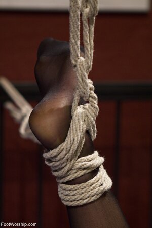 Nothing can stop Lorelei Lee as she makes her sub lick it