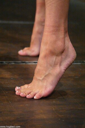 Should also be collared and leashed, led around on all fours