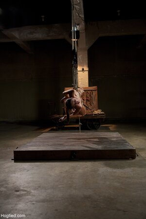 India Summer sucks cock while suspended in ropes