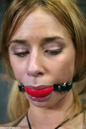 Lain Oi gets hogtied in a porn gallery