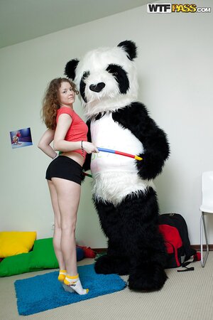 Panda with a hard dick is going to screw a slutty chick